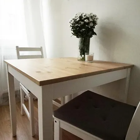 Apartment Boris' Karlin *